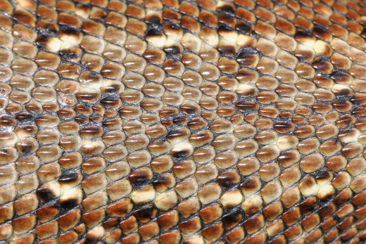 740541 (a): :2048x1365